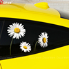 汽车个性菊花车贴雏菊可爱趣味，装饰贴车身，划痕遮挡贴电动车贴纸
