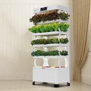 智能种菜机M3无土栽培设备家庭学校有机蔬菜种植水培箱绿植花卉架