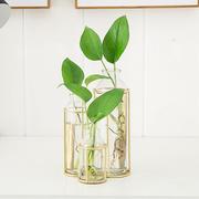 花瓶摆件创意小清新大客厅桌面，绿萝插花欧式花器玻璃水培植物容器