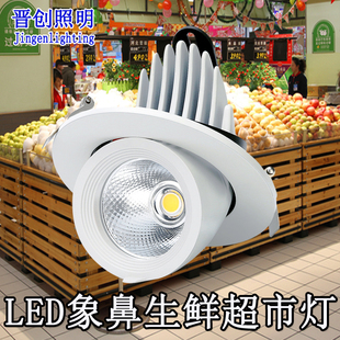 led生鲜灯嵌入式筒灯COB猪肉象鼻灯超市40W鲜肉水产水果专用射灯