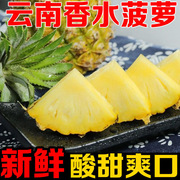 云南香水菠萝小菠萝带皮单季新鲜水果3/5/9斤到家