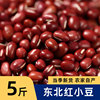 2023年东北红豆农家自产红小豆新货赤豆赤小豆新五谷杂粮5斤