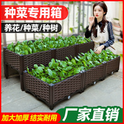 种菜神器家庭阳台长方形塑料，特大家用蔬菜专用种植箱花盆楼顶花箱