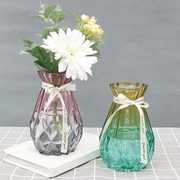 风信子绿萝铜钱草水培透明玻璃瓶子阳台植物花卉盆栽小号花瓶花盆