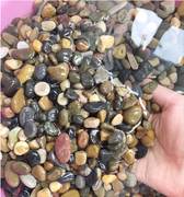 海南天然豆石家装鹅卵石铺路地暖专用豆石找平回填石子滤料水处理