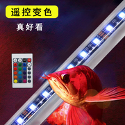 鲁杰西鱼缸led照明灯防水三色，光谱节能潜水小型鱼缸灯三基色水族