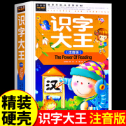 精装硬壳识字大王幼小衔接幼儿拼音拼读训练识字书，3岁儿童益智启蒙宝宝书本，早教书看图说话全脑开发思维书幼儿园学习用品