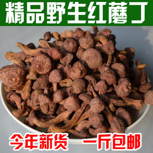 新货野生红蘑丁干货松树伞松蘑菇鸡血红蘑小蘑菇头500g