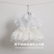 燕子韩国宠物衣服louisdog猫狗上衣，连衣裙白色蕾丝花边带钻