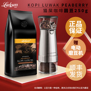 印尼进口luwak猫屎咖啡豆麝，香猫屎咖啡，公豆圆豆250g手冲咖啡