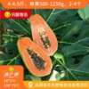 辰颐物语红心木瓜4斤装2-4个海南新鲜水果现摘坏果包赔