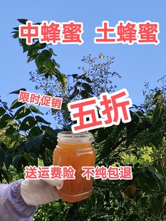 广东冬蜜蜂蜜中蜂蜜土，蜂蜜百花蜜农家蜜，纯天然零添加美容保健