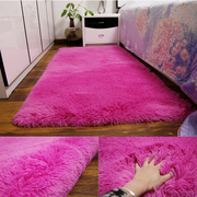 加厚可水洗绒毛地毯客厅茶几，卧室满铺可爱床边毯榻榻米地垫可定制