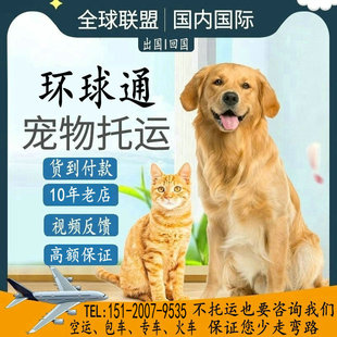 补运费宠物托运服务猫咪狗狗，空运火专车汽运，北京上海国际邮寄