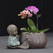 创意绿萝水培植物养花花瓶，插花容器花盆，器皿桌面装饰摆件蝴蝶兰盆