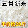 正宗五常稻香米2023年新米五常大米10斤20斤特级东北大米好吃不贵