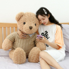 泰迪熊熊抱抱熊小熊公仔布娃娃毛绒玩具大号生日礼物送女友