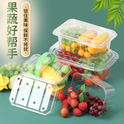 加厚草莓包装盒透明蔬菜手，提篮水果包装盒一次性水果打包盒子