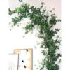 招财仿真树叶藤条绿植空调管装饰遮挡假花藤，吊顶塑料植物绿叶藤蔓