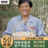 酥方斋土鸡蛋九华山特产正宗农家散养鸡蛋新鲜月子柴鸡蛋礼盒50枚
