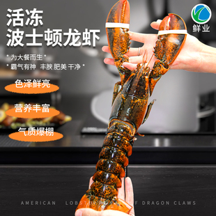 鲜冻波士顿龙虾加拿大螯龙虾包肥个大肉厚海鲜水产4.54KG整箱