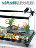 大型底部排水乌龟缸带晒台免换水玻璃龟鱼缸生态饲养缸宠物龟箱