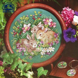 法国DMC十字绣 套件 专卖 客厅-小兔之家-lj146印花