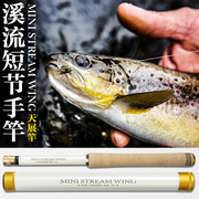 小物竿 溪流竿短节天展竿超轻迷你便捷小手竿37调飞蝇3.6米台钓竿