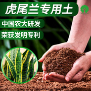 虎皮兰专用土虎尾兰专用营养土中国农大研发漫生活专利营养土