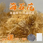 潮汕海石花草果冻野生石花菜，石花膏海凉粉四果汤原料(汤原料)饶平特产100g