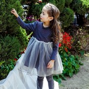 韩版女童连衣裙中大儿童长袖网纱拼接刺绣裙子公主裙