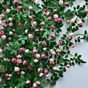 仿真玫瑰花藤假花藤条客厅空调管道缠绕装饰遮挡塑料藤蔓植物垂吊