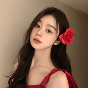 赵美廷裴珠泫同款玫瑰花朵，发夹边夹头花舞蹈，表演海边拍照仿真发饰