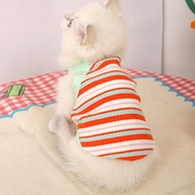 猫咪衣服夏季薄款幼猫布偶银渐层吊带英短猫猫夏天防掉毛小猫背心