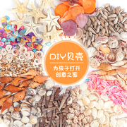 天然贝壳海螺手工diy幼儿园环创意玩具礼物鱼缸造景装饰材料包