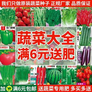 蔬菜种子草莓生菜辣椒番茄，西瓜黄瓜香菜阳台盆栽，四季种籽子孑大全
