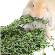紫花苜蓿草2022新香脆营养，烘干毛重1kg宠物，兔龙猫豚鼠苜蓿干草粮