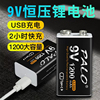 星威9v充电电池USB可充锂电万用表体温方块电池恒压仪器吉他1200毫安