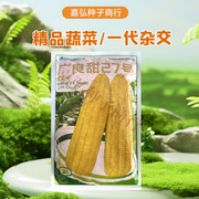 广良甜27号甜玉米种子400g超甜水果玉米种籽特大高产抗热