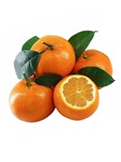 云南新鲜沃柑当季新鲜水果橘子，孕妇水果整箱，水润多汁甘甜5斤