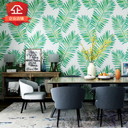 家装家用墙纸非自粘无胶刷胶卧室客厅餐厅现代简约装修北欧风壁纸
