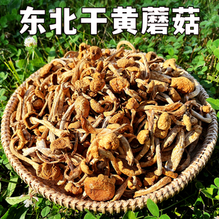 东北干滑子菇黄蘑菇(黄蘑菇，)干货菌菇无根肉厚非野生小鸡炖蘑菇口感嫩滑