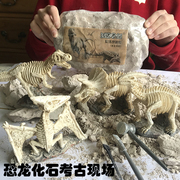恐龙化石考古挖掘玩具，大号霸王龙龙翼龙模型，摆件儿童手工diy3-6