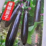 红星绿裤茄子种子杂交紫茄子东北口感，好吃蔬菜籽春季菜园育苗