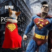 宠物衣服超人狗狗搞笑搞怪抖音网红薄款猫咪柯基比熊泰迪变身装