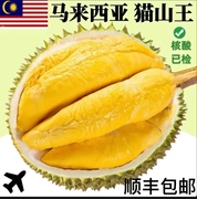 马来西亚进口正宗猫山王榴莲水果D197液氮冷冻带壳