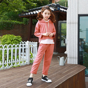 童装女童春秋季韩版纯棉，连帽卫衣+长裤，套装中大儿童运动学生2件套