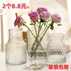 欧式创意玻璃花瓶简约网红水培鲜花植物富贵竹插花瓶餐桌装饰摆件