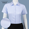 HRN纯棉免烫女士衬衫短袖夏季工作服职业工装蓝色蓝白条纹V领衬衣