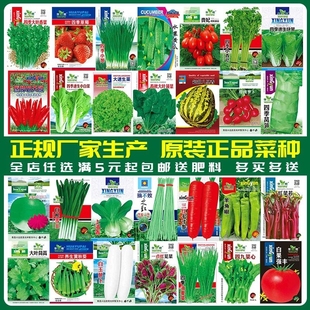 蔬菜种子四季播盆栽阳台辣椒番茄甜瓜黄瓜秋易种籽孑大全彩椒种植
